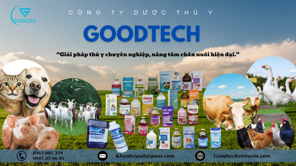 Trang chủ 13 Green Modern Minimalist Agrifarm Company Presentation