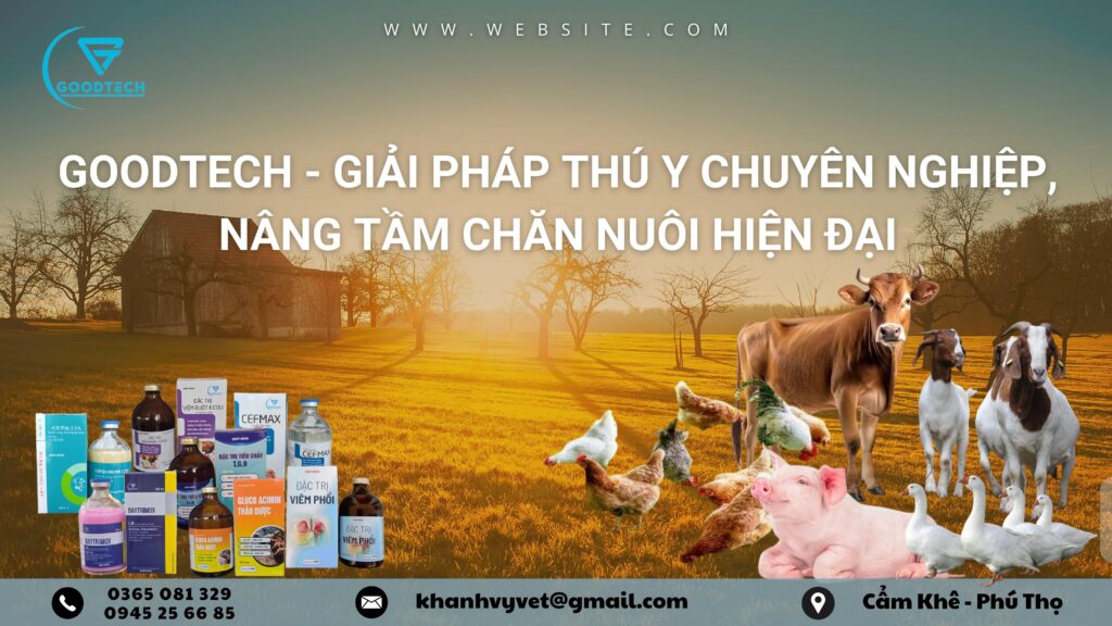 banner goodtech website 2 min