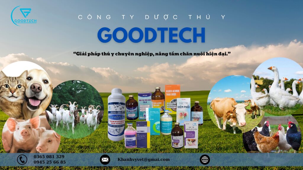 banner goodtech website min