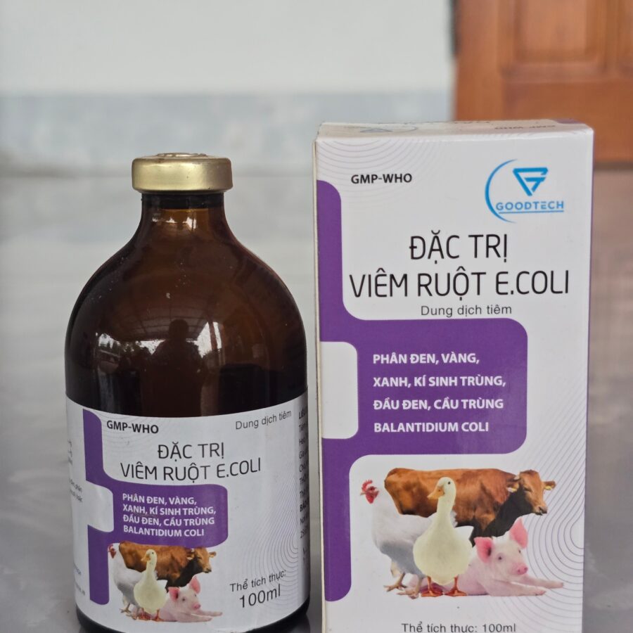 ĐẶC TRỊ VIÊM RUỘT E.COLI (SEPTOTRYL - 24)