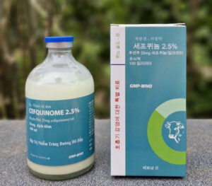 z7170223912512 1c792485e95c8b993f2381cf67fdaf48 e1761795520638