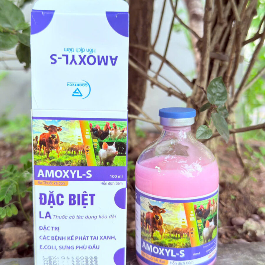 AMOXYL - S
