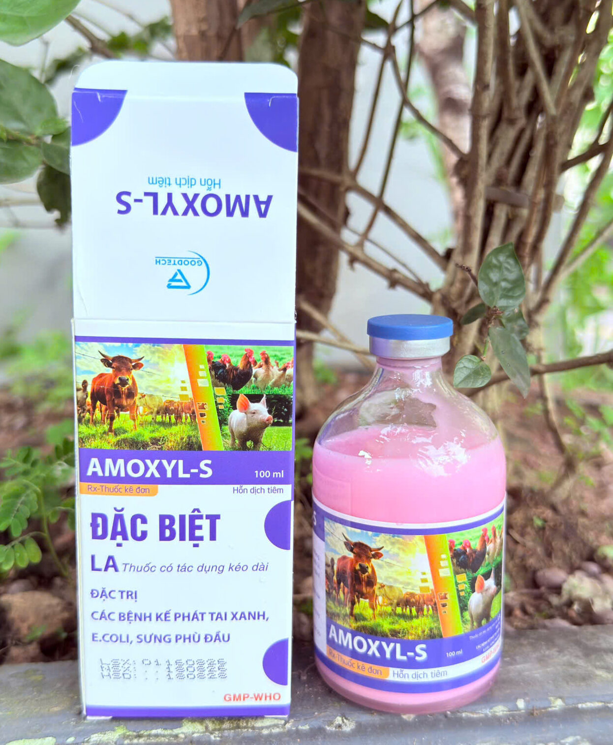 AMOXYL - S