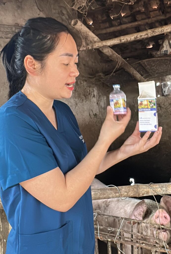 558375345 4142774355964851 7096732755509328433 n e1761377193675