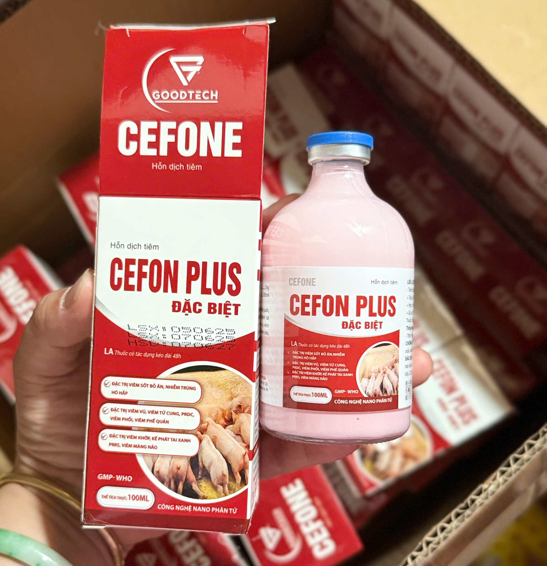 CEFON PLUS ĐẶC BIỆT (CEFONE)