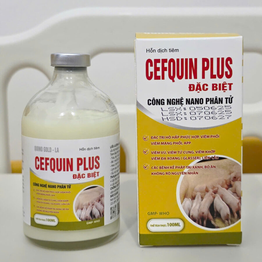 CEFQUIN PLUS ĐẶC BIỆT (QUINO GOLD - LA)