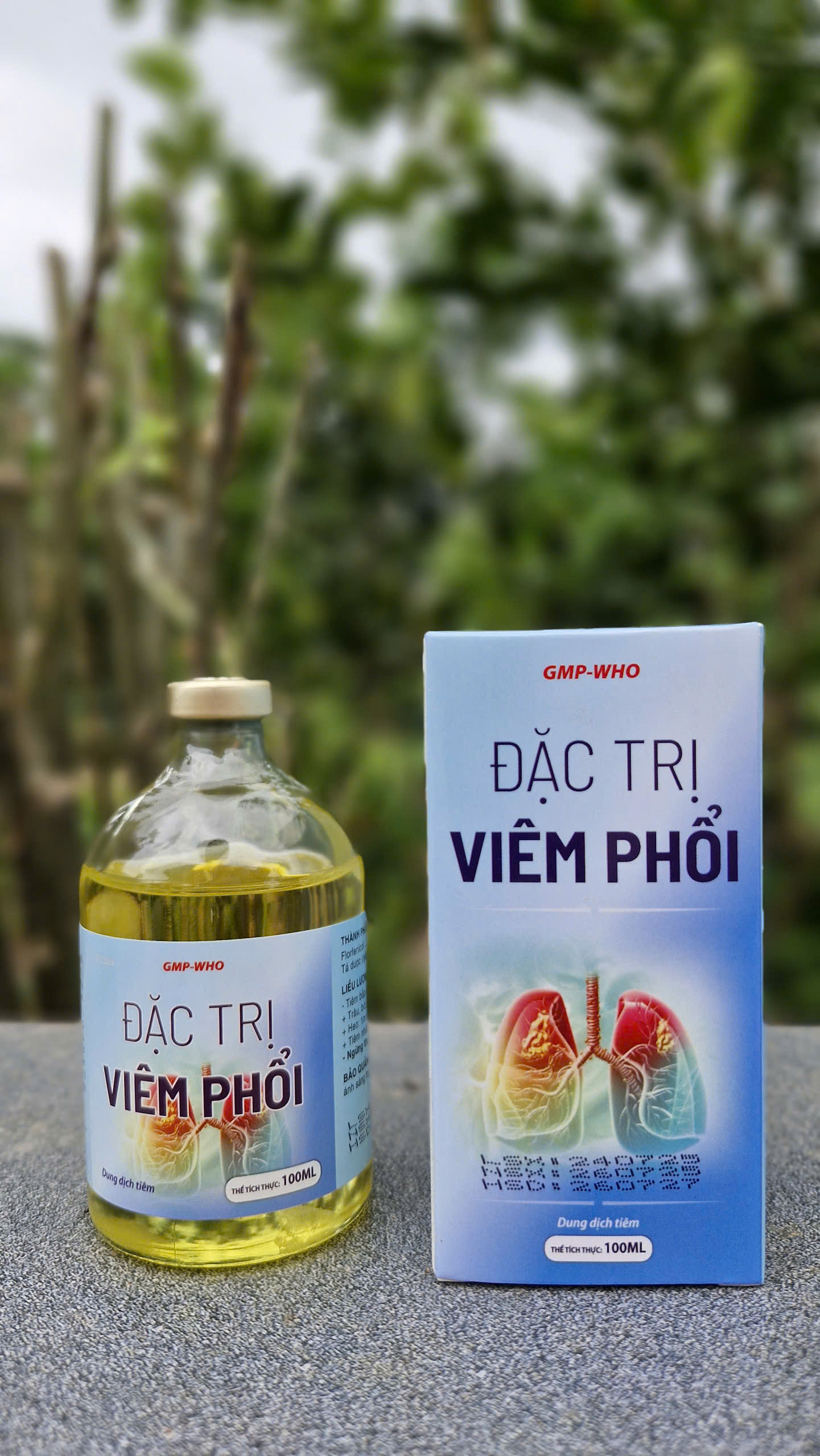 z7154120535207 882d608764d20a8ce8f671d9923bad6f 1