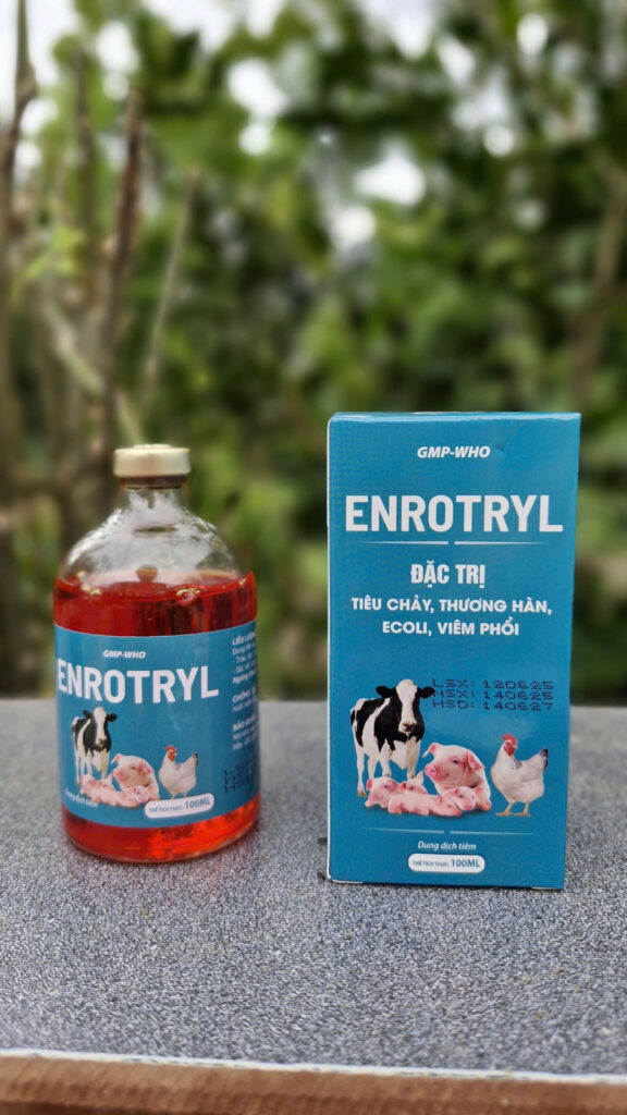 z7170299412535 7edad1460f65f5ee7ad5966636dc8dda 1