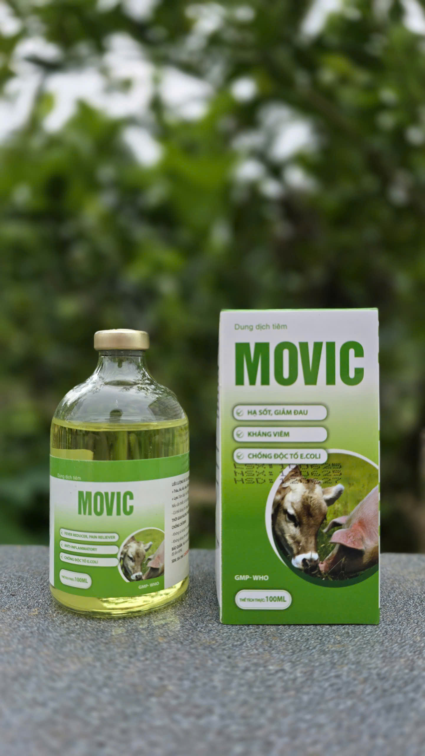 z7170523491269 e54f20bb8790a6c287b35429ba399760 1