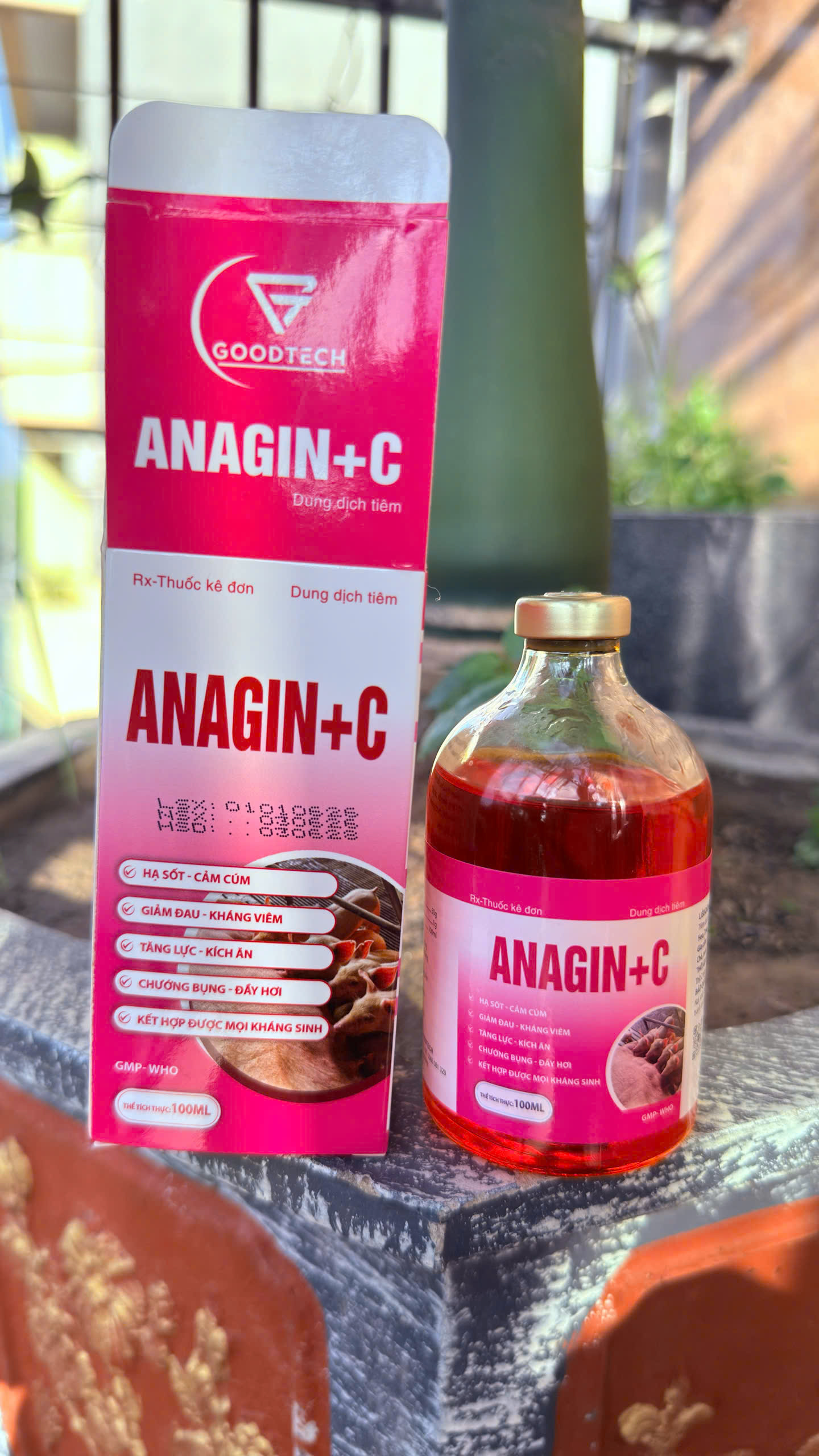 ANAGIN + C (ĐỎ)