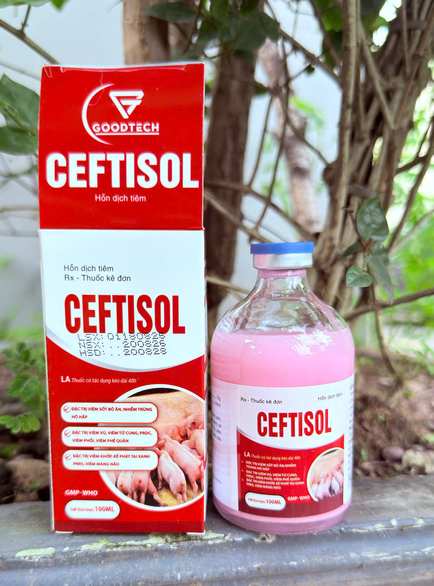 CEFTISOL