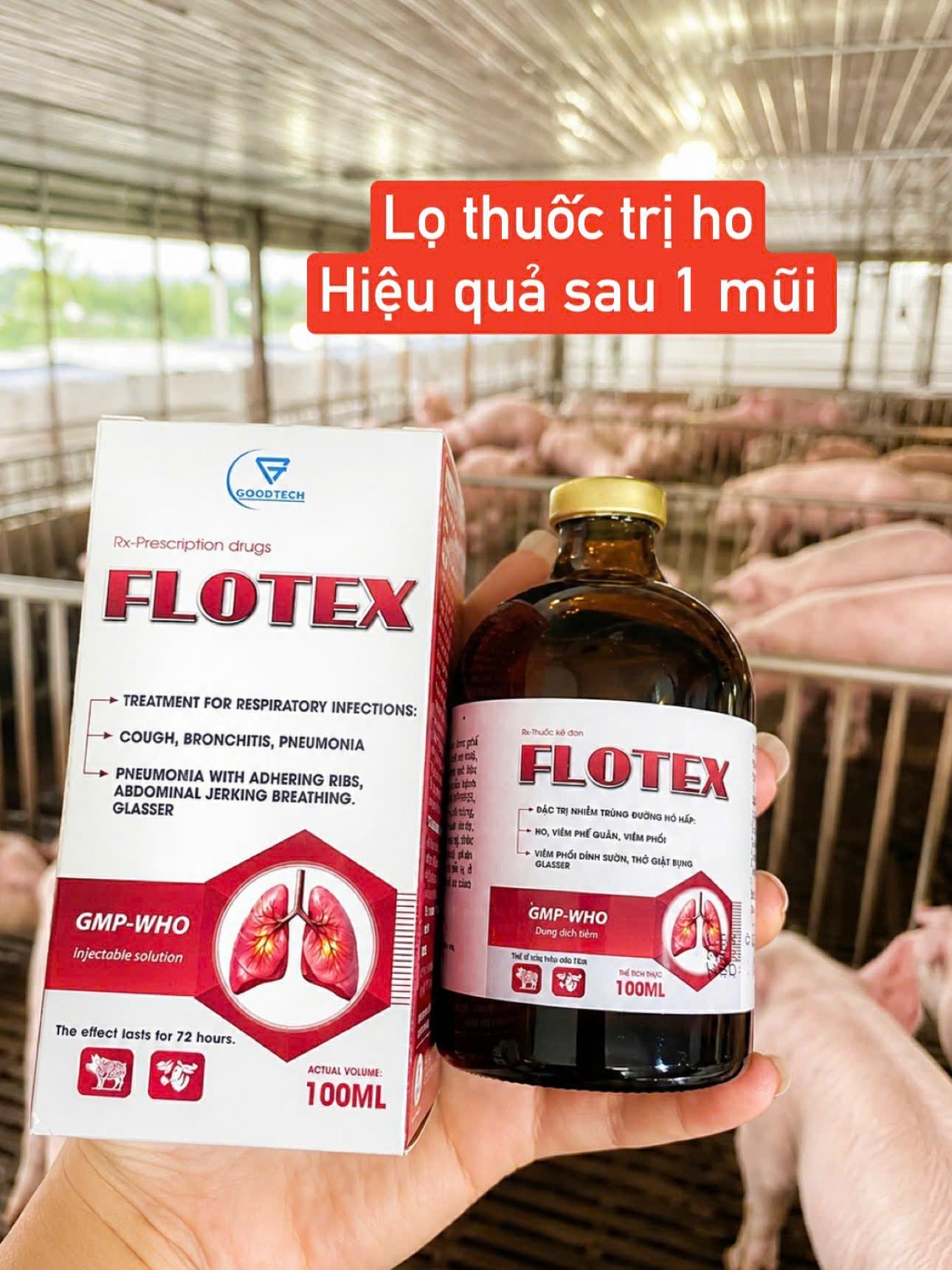 FLOTEX ( ĐẶC TRỊ VIÊM PHỔI)